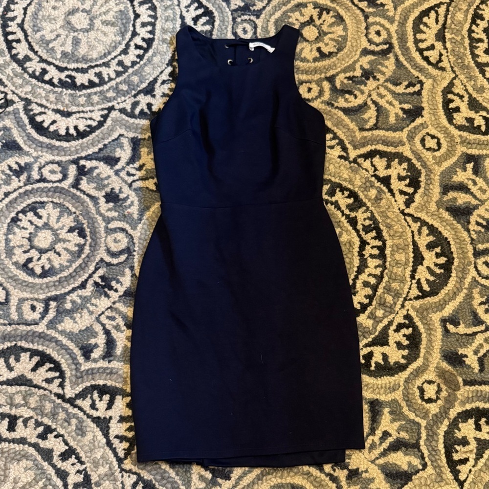 Bailey 44 Lace Up Back Mini Dress